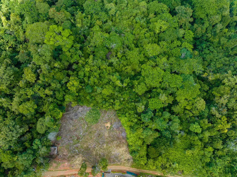 OCEAN VIEW DEVELOPMENT OPPORTUNITY – 16 ACRES, photo 12