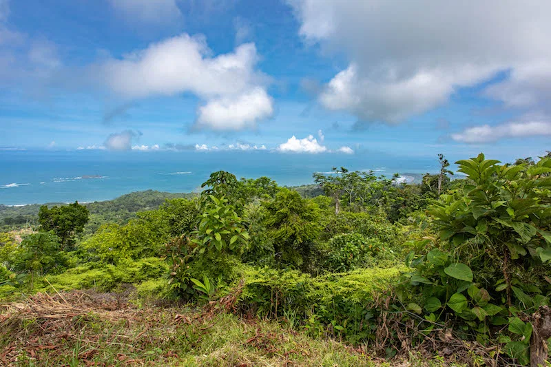 OCEAN VIEW DEVELOPMENT OPPORTUNITY – 16 ACRES, photo 13