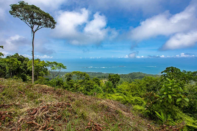 OCEAN VIEW DEVELOPMENT OPPORTUNITY – 16 ACRES, photo 15
