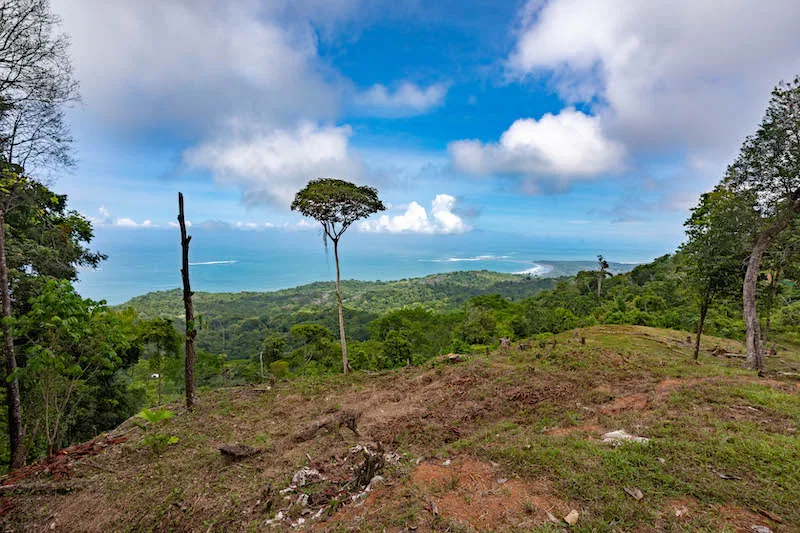 OCEAN VIEW DEVELOPMENT OPPORTUNITY – 16 ACRES, photo 16