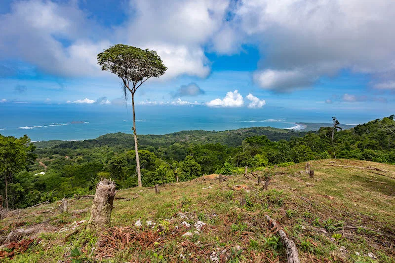 OCEAN VIEW DEVELOPMENT OPPORTUNITY – 16 ACRES, photo 3