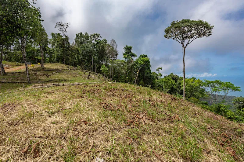 OCEAN VIEW DEVELOPMENT OPPORTUNITY – 16 ACRES, photo 4