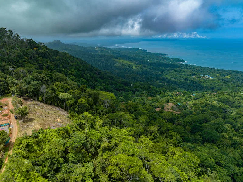 OCEAN VIEW DEVELOPMENT OPPORTUNITY – 16 ACRES, photo 8