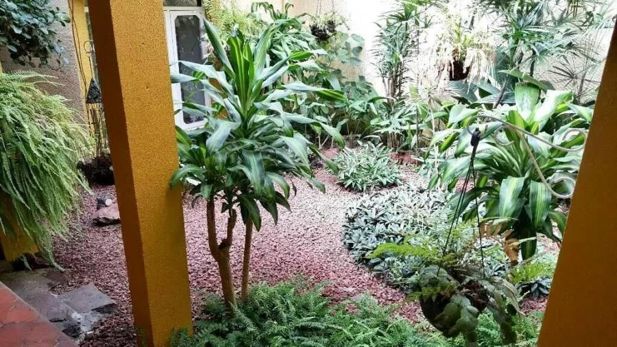 Venta de casa en Los Yoses Sur, Zapote E.T #25-436 - Venta en Zapote, photo 11