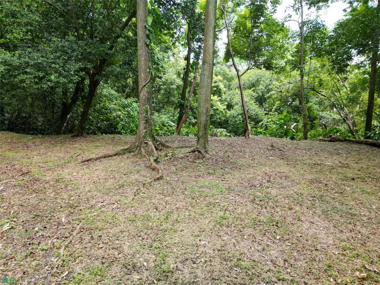 Manuel Antonio, Quepos, Puntarenas 60601