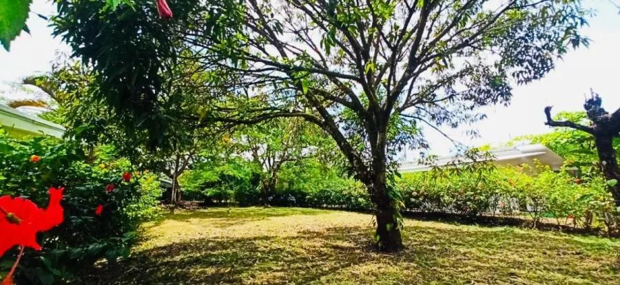 MLS-25-616 LS VENTA LOTE PARRITA PUNTARENAS  - Venta en Parrita