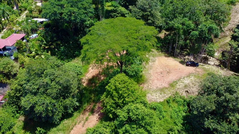 Build-Ready Lot in Ojochal’s Calle Cacique | Easy Access & Stunning Mountain Views, photo 11