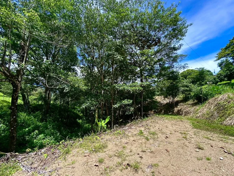 Build-Ready Lot in Ojochal’s Calle Cacique | Easy Access & Stunning Mountain Views, photo 13