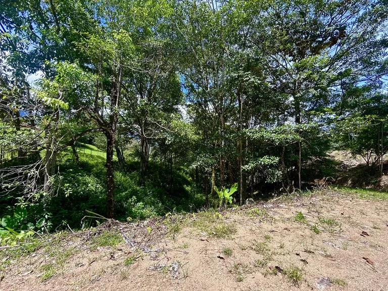 Build-Ready Lot in Ojochal’s Calle Cacique | Easy Access & Stunning Mountain Views, photo 14