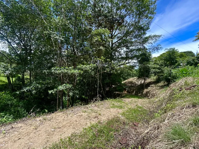 Build-Ready Lot in Ojochal’s Calle Cacique | Easy Access & Stunning Mountain Views, photo 15