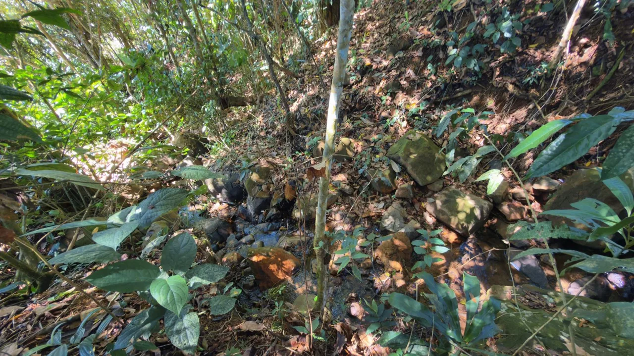 Lot for sale with Spectacular Chirripo Mountain Views Perez Zeledon, photo 6