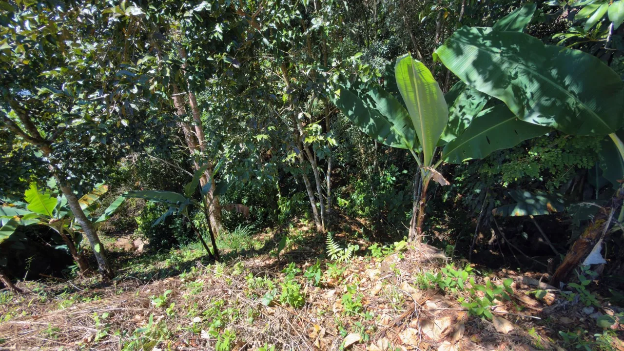Lot for sale with Spectacular Chirripo Mountain Views Perez Zeledon, photo 7