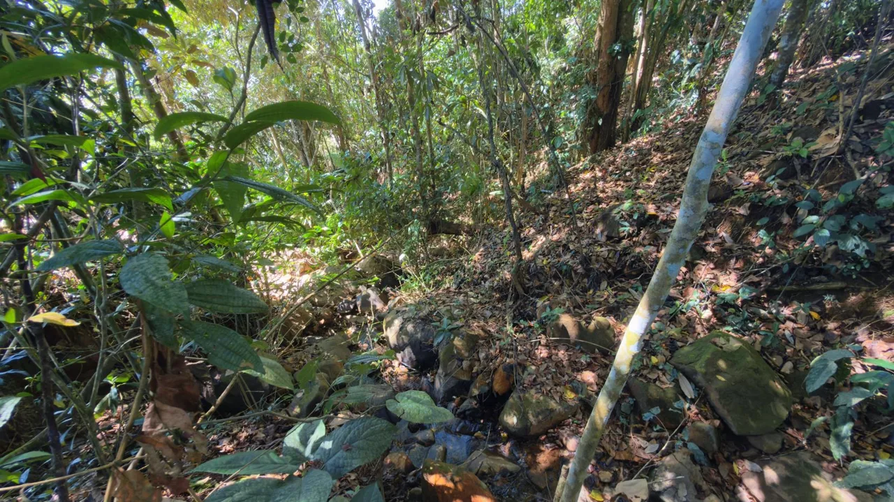 Lot for sale with Spectacular Chirripo Mountain Views Perez Zeledon, photo 9