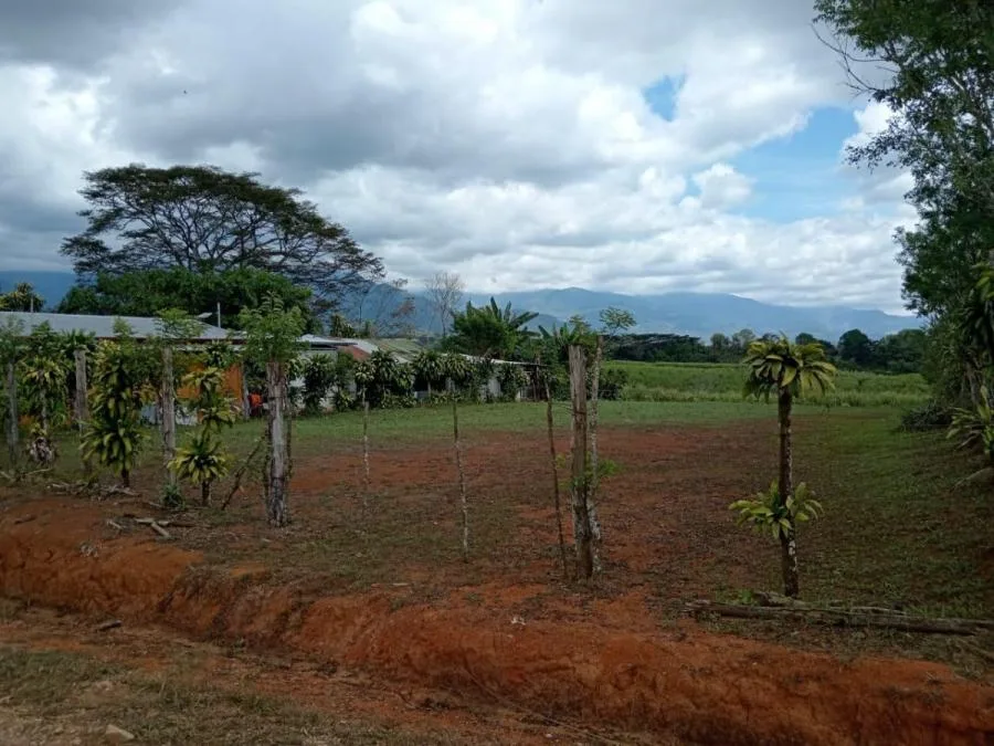 Venta de Amplio Terreno en Pérez Zeledón, San José / JB OFC Mls. 25-1358 - Venta en Perez Zeledón, photo 3