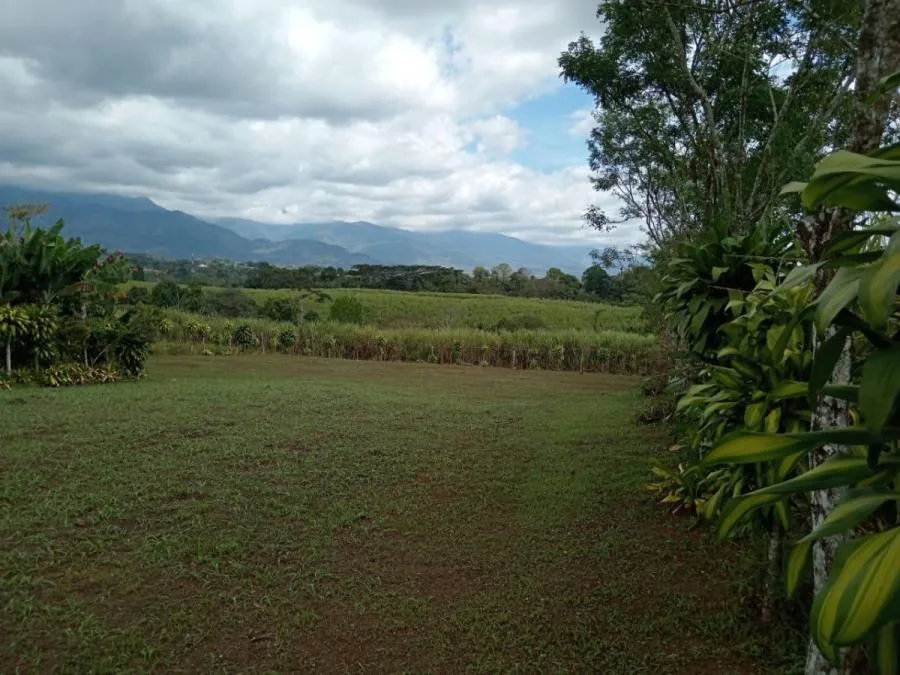 Venta de Amplio Terreno en Pérez Zeledón, San José / JB OFC Mls. 25-1358 - Venta en Perez Zeledón, photo 6