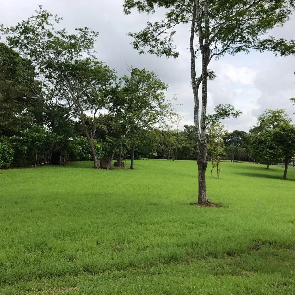 Venta de Hermosa Quinta en Orotina  - Venta en Orotina