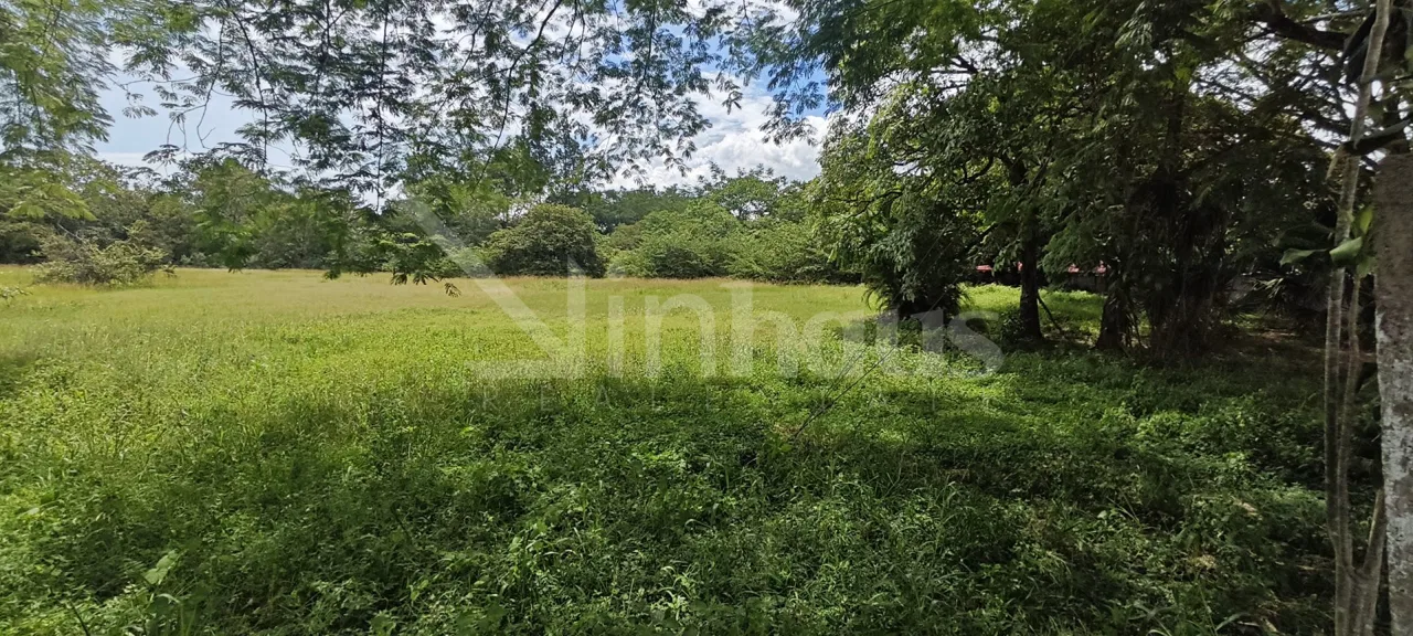 Se Vende Lote en el Coyol y la Garita Alajuela
