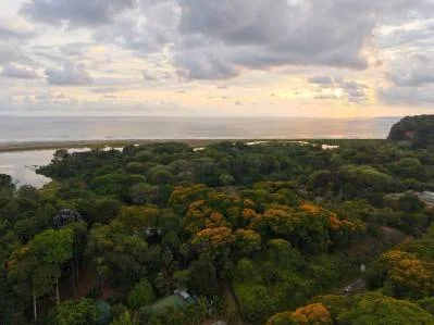 2.75 Acres Property with 3 Bedroom 2 Bathroom Elevated Tropical Wood Home, photo 2