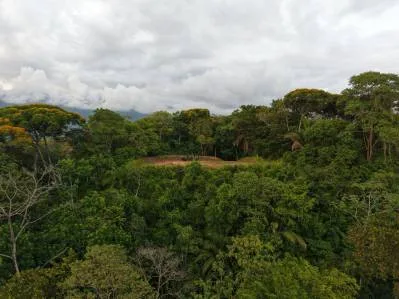 2.75 Acres Property with 3 Bedroom 2 Bathroom Elevated Tropical Wood Home, photo 3