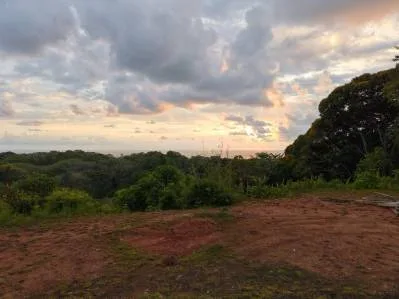 2.75 Acres Property with 3 Bedroom 2 Bathroom Elevated Tropical Wood Home, photo 4