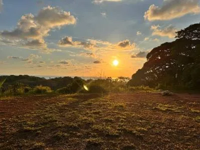 2.75 Acres Property with 3 Bedroom 2 Bathroom Elevated Tropical Wood Home, photo 6