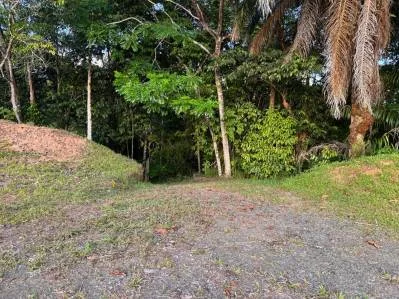 2.75 Acres Property with 3 Bedroom 2 Bathroom Elevated Tropical Wood Home, photo 8