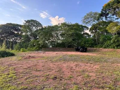 2.75 Acres Property with 3 Bedroom 2 Bathroom Elevated Tropical Wood Home, photo 9