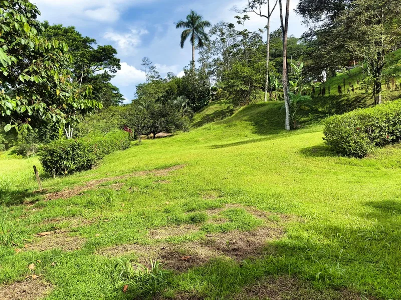 Land For Sale in Cahuita, photo 3