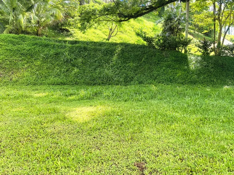 Land For Sale in Cahuita, photo 4
