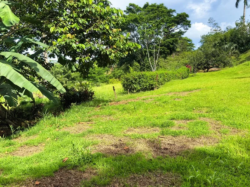 Land For Sale in Cahuita, photo 5