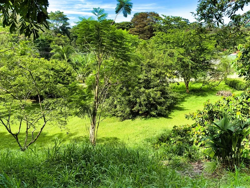 Land For Sale in Cahuita, photo 6