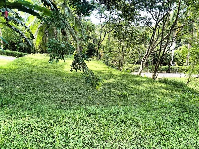Land For Sale in Cahuita, photo 7