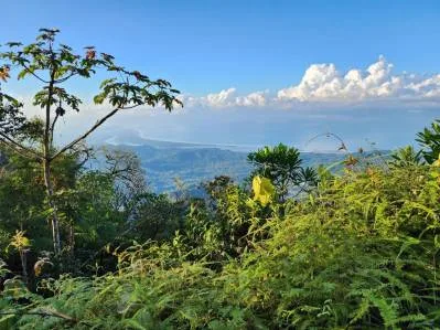 PROPIEDAD CON ALTO POTENCIAL PARA DESARROLLO RESIDENCIAL.