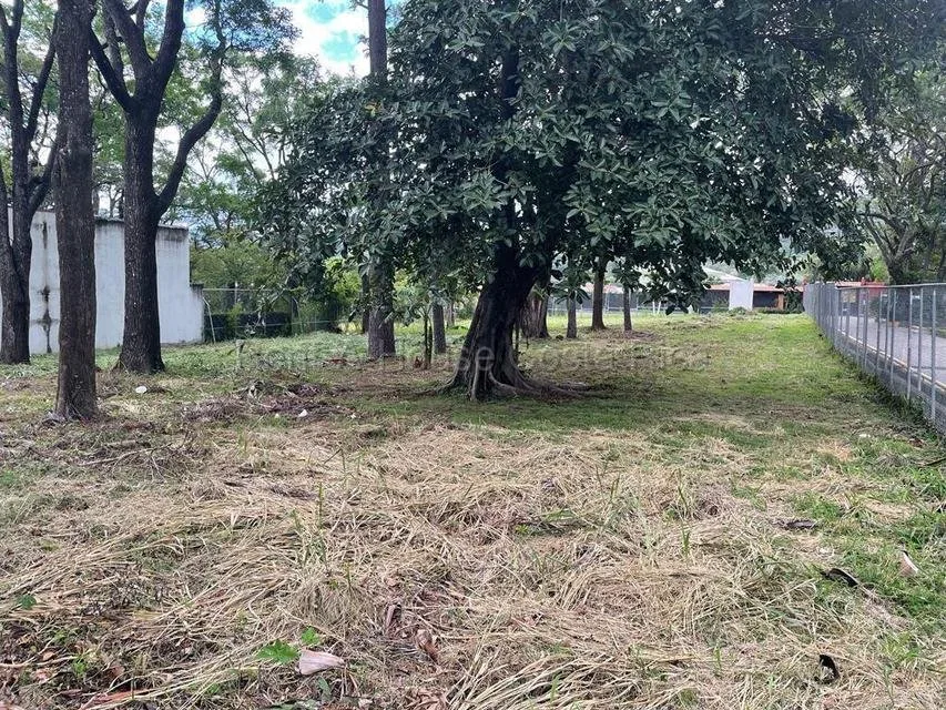 Alquiler de Lote Plano en Santa Ana. RAH 26-1692 - Alquiler / Renta en Santa Ana
