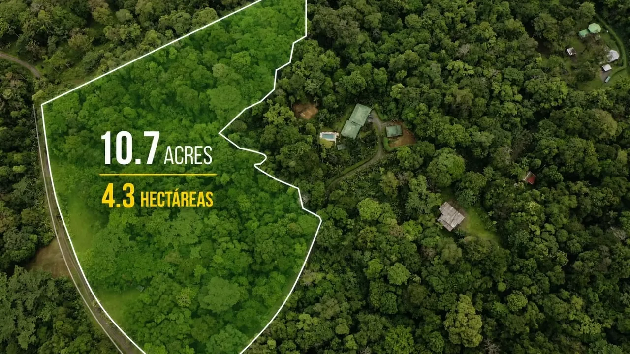 Sale 10.7 Acres of Private Caribbean Rainforest in Costa Rica Near Puerto Viejo, Playa Chiquita & Pu, photo 2