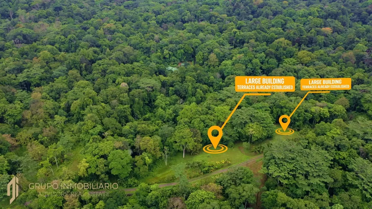 Sale 10.7 Acres of Private Caribbean Rainforest in Costa Rica Near Puerto Viejo, Playa Chiquita & Pu, photo 12
