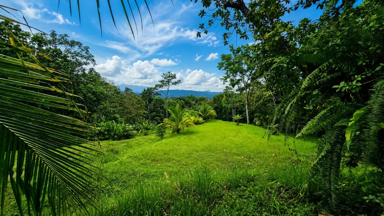 Sale 10.7 Acres of Private Caribbean Rainforest in Costa Rica Near Puerto Viejo, Playa Chiquita & Pu, photo 3