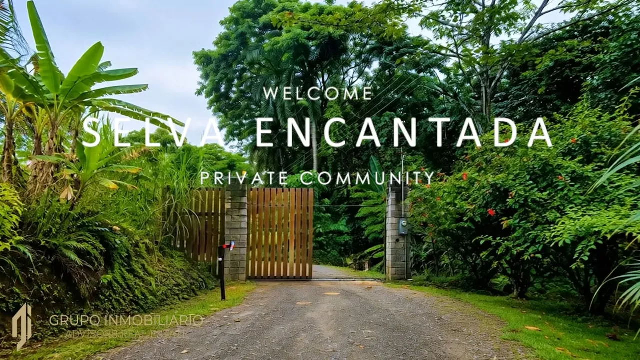 Sale 10.7 Acres of Private Caribbean Rainforest in Costa Rica Near Puerto Viejo, Playa Chiquita & Pu, photo 4