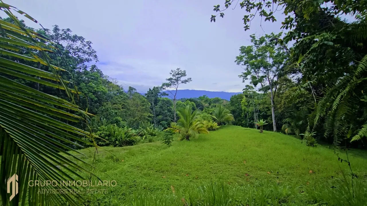 Sale 10.7 Acres of Private Caribbean Rainforest in Costa Rica Near Puerto Viejo, Playa Chiquita & Pu, photo 6