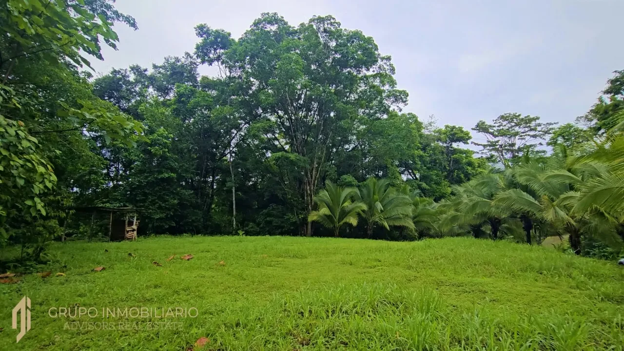 Sale 10.7 Acres of Private Caribbean Rainforest in Costa Rica Near Puerto Viejo, Playa Chiquita & Pu, photo 7