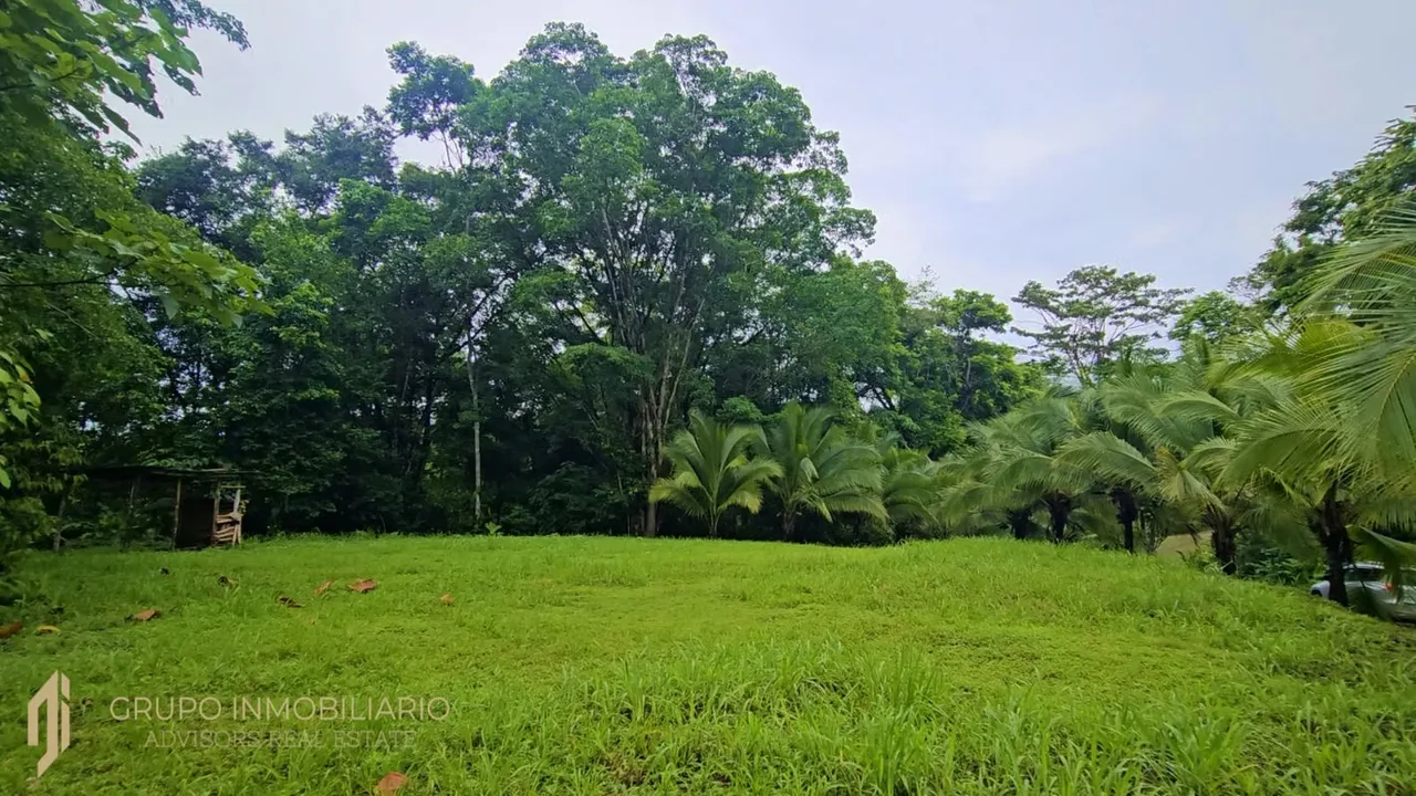 Sale 10.7 Acres of Private Caribbean Rainforest in Costa Rica Near Puerto Viejo, Playa Chiquita & Pu, photo 8