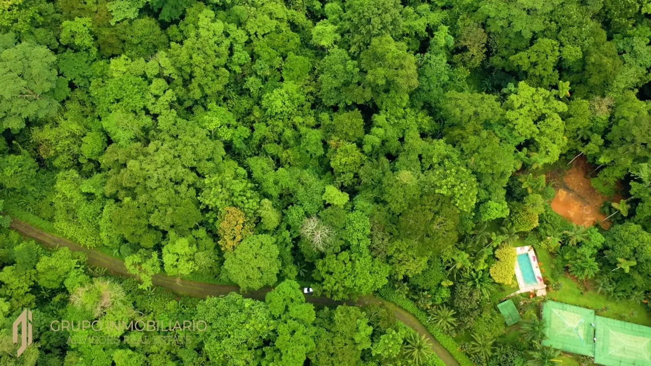 Sale 10.7 Acres of Private Caribbean Rainforest in Costa Rica Near Puerto Viejo, Playa Chiquita & Pu, photo 9
