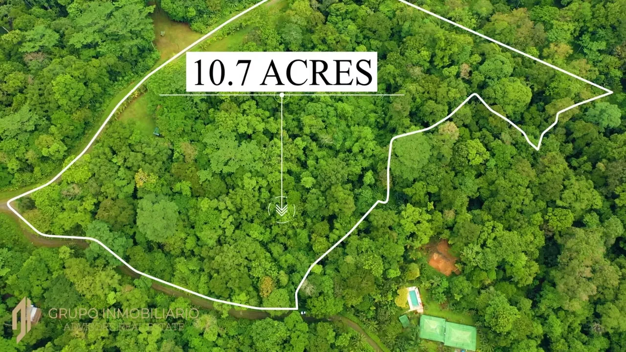 Sale 10.7 Acres of Private Caribbean Rainforest in Costa Rica Near Puerto Viejo, Playa Chiquita & Pu, photo 10