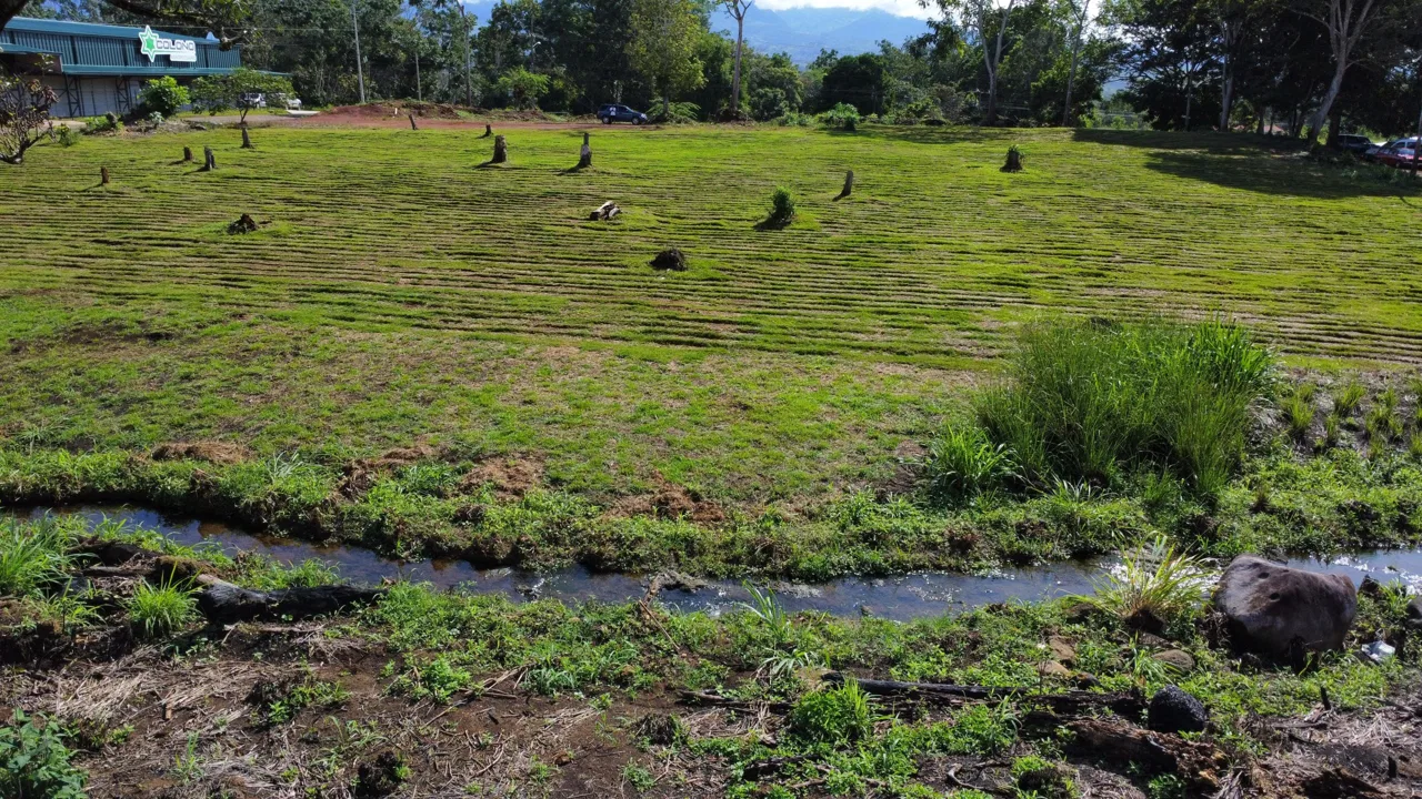 PRIME COMMERCIAL OPPORTUNITY WITH ROUTE 2 FRONTAGE IN PEREZ ZELEDON – 2 ACRES, photo 24
