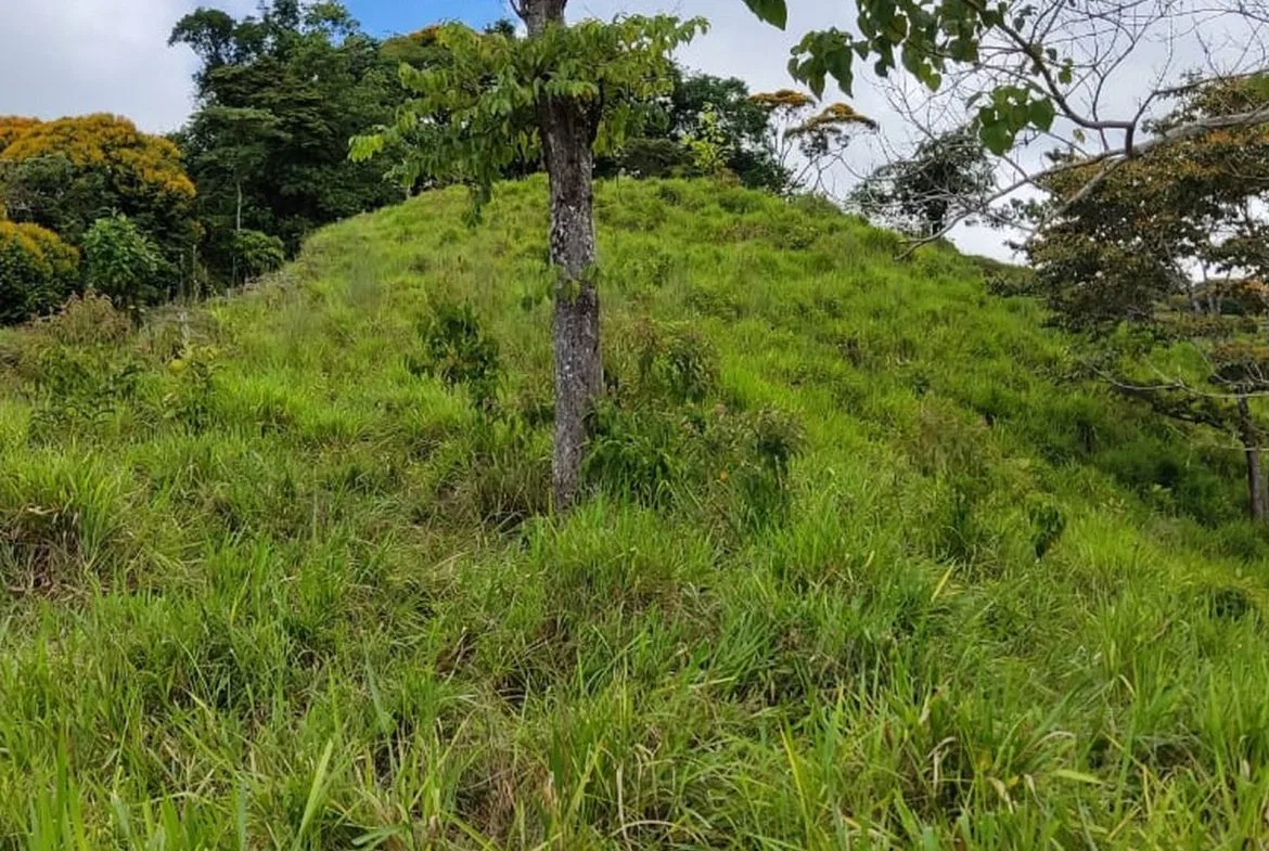 PROPERTY WITH MOUNTAIN VIEW, IN TRES RIOS – 66.7 ACRES, photo 18