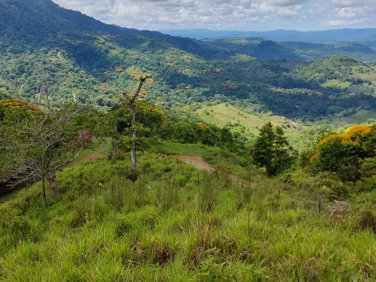 PROPERTY WITH MOUNTAIN VIEW, IN TRES RIOS – 66.7 ACRES, photo 19