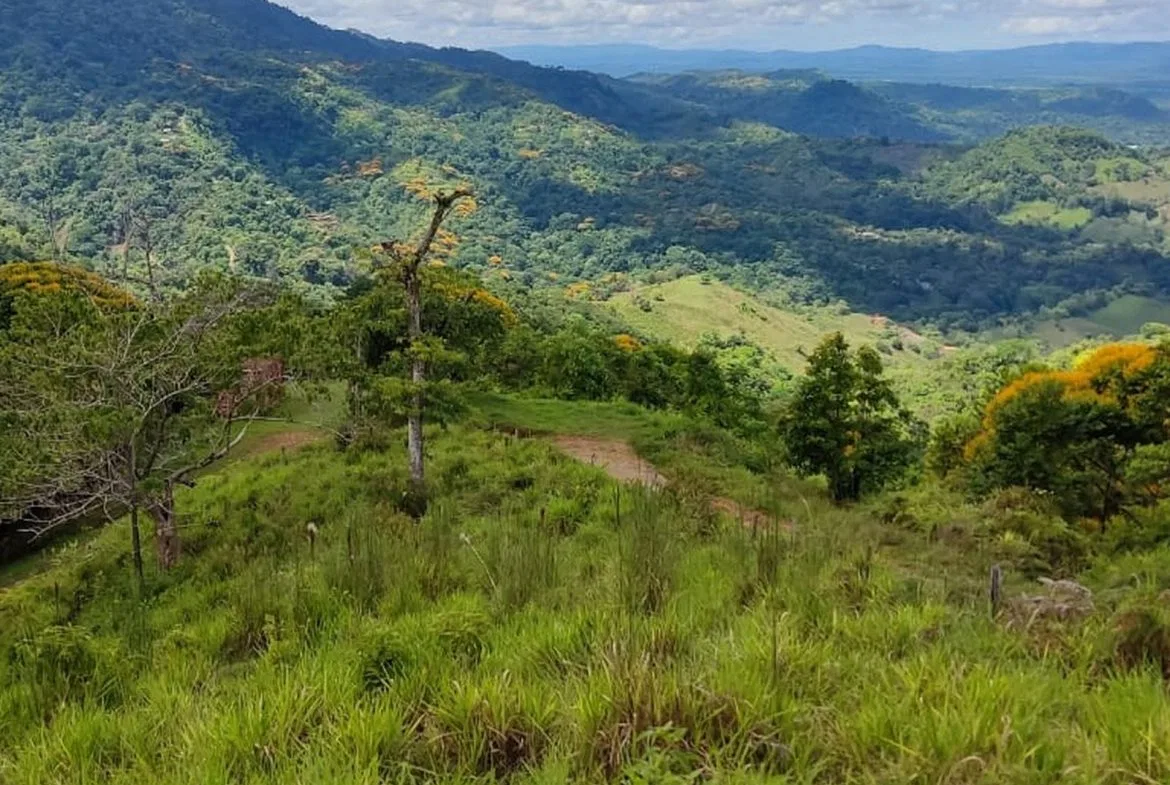 PROPERTY WITH MOUNTAIN VIEW, IN TRES RIOS – 66.7 ACRES, photo 20