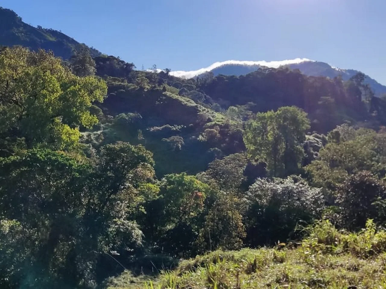 PROPERTY WITH MOUNTAIN VIEW, IN TRES RIOS – 66.7 ACRES, photo 3