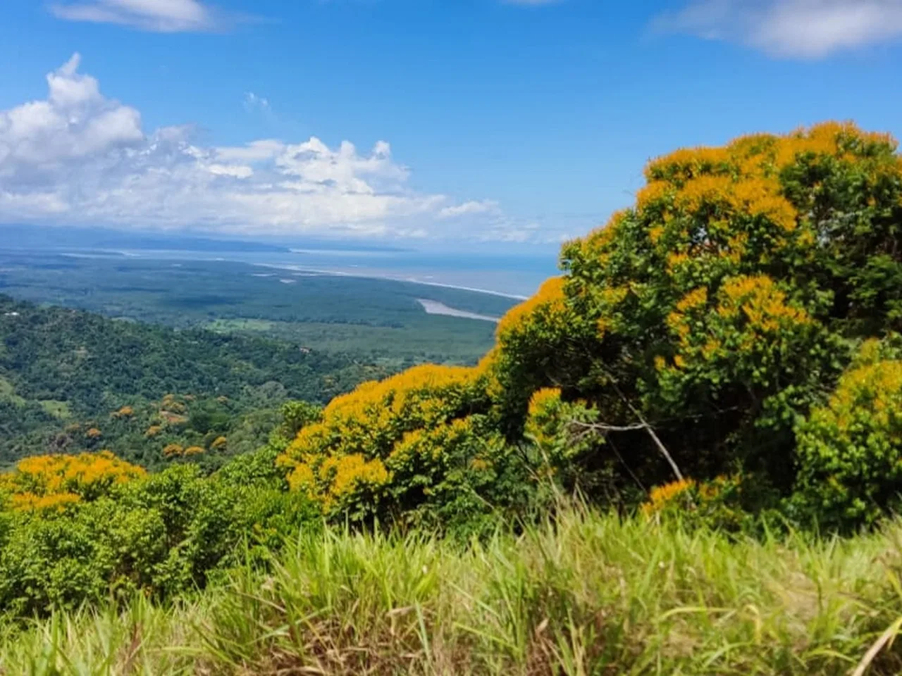 PROPERTY WITH MOUNTAIN VIEW, IN TRES RIOS – 66.7 ACRES, photo 21