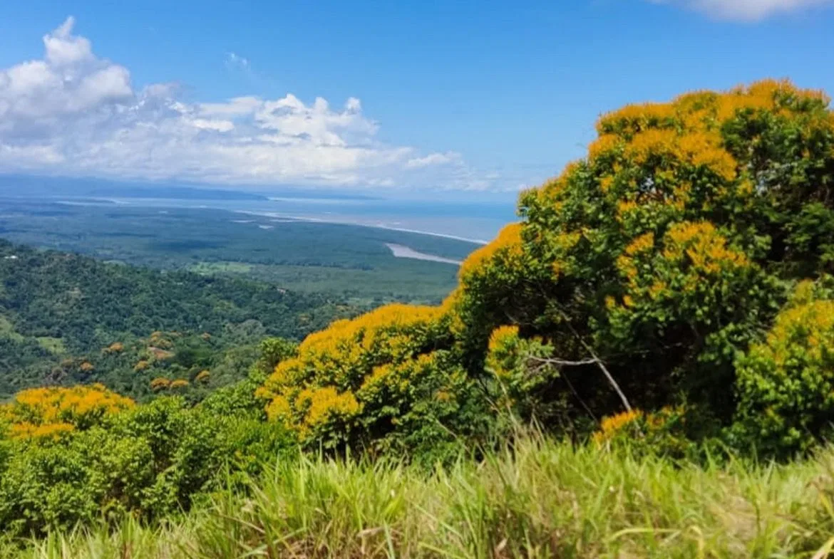 PROPERTY WITH MOUNTAIN VIEW, IN TRES RIOS – 66.7 ACRES, photo 22